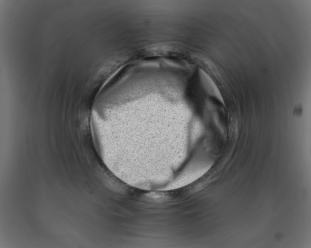 X0000090880477200708241944