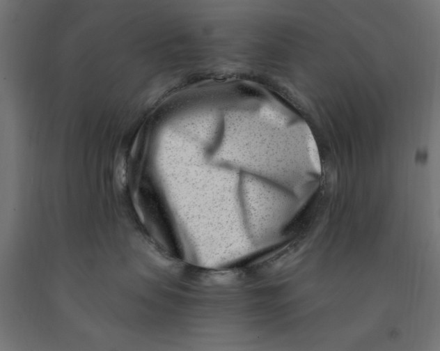 X0000090880479200708241944