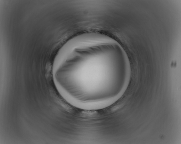 X0000090880480200708241944