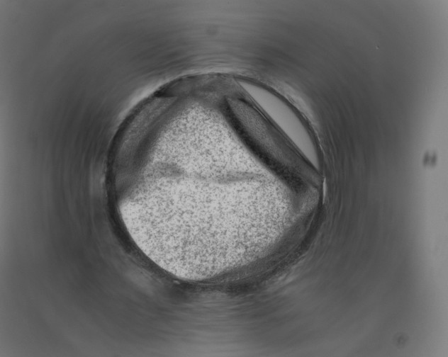 X0000090880483200708241943