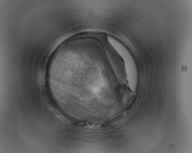 X0000090880484200708241943