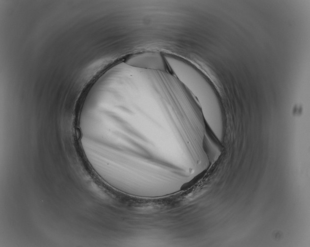 X0000090880485200708241943