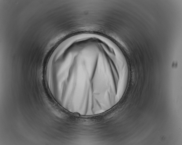 X0000090880486200708241943