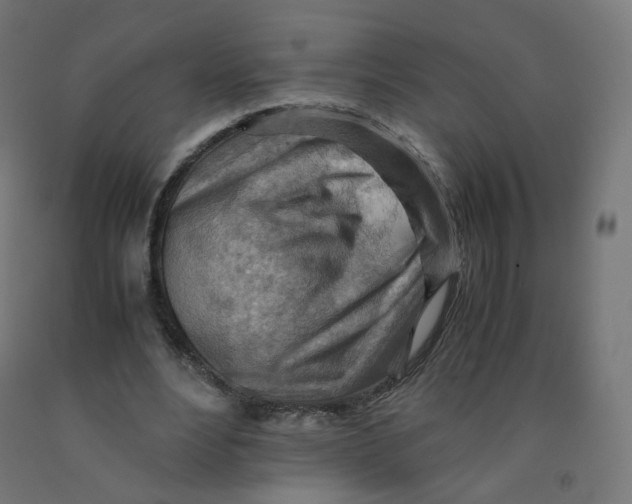 X0000090880488200708241943