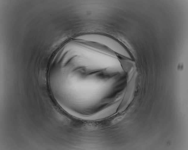 X0000090880489200708241943