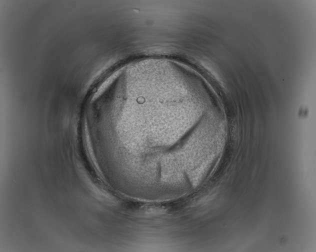 X0000090880491200708241943