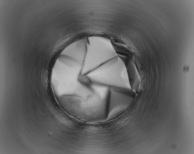 X0000090880494200708241943