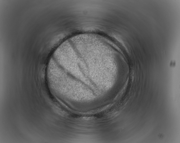 X0000090880495200708241943