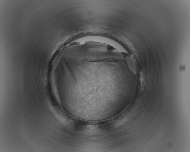 X0000090880496200708241943