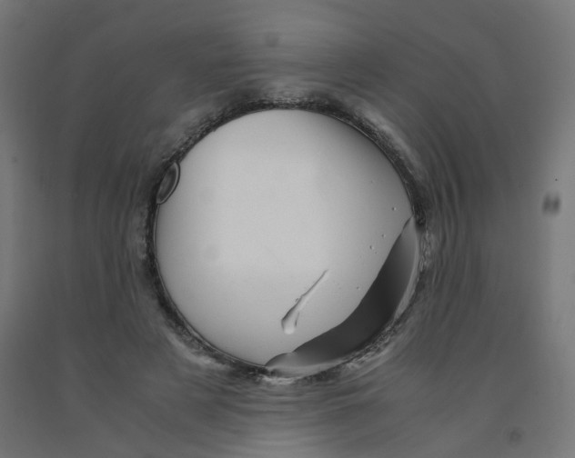 X0000090880497200708241943