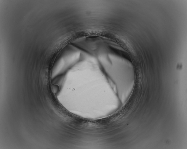 X0000090880498200708241943