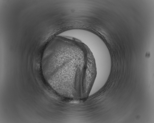 X0000090880499200708241943