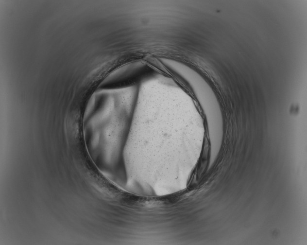 X0000090880501200708241943