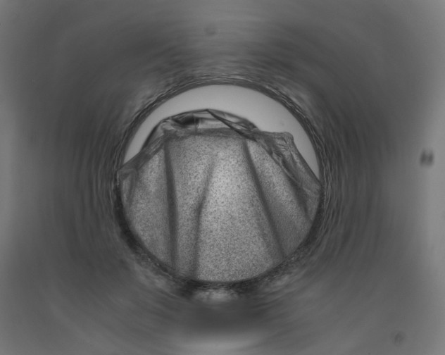 X0000090880503200708241943