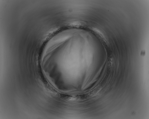 X0000090880504200708241943