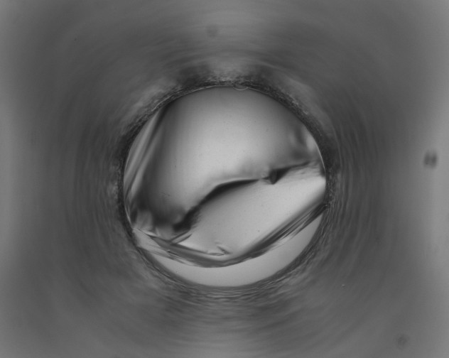 X0000090880505200708241943