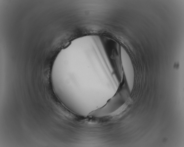 X0000090880509200708241943