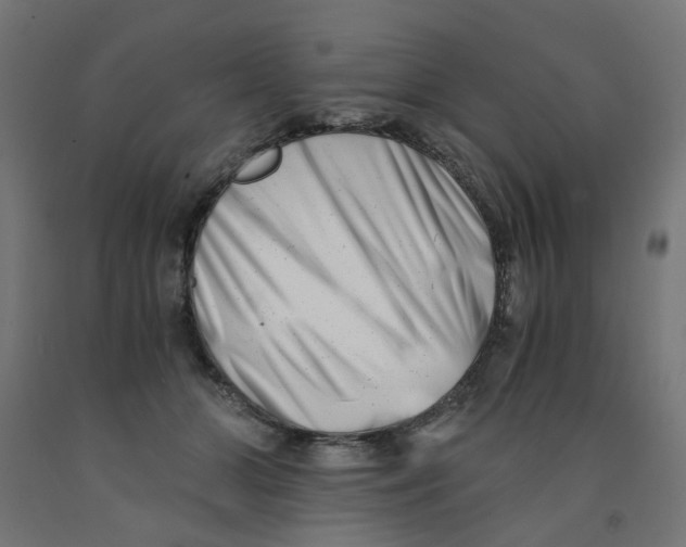 X0000090880510200708241943