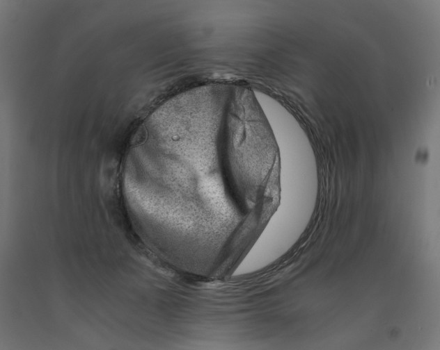 X0000090880511200708241943