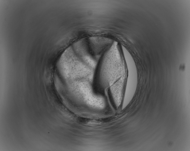 X0000090880515200708241943