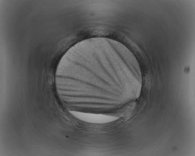 X0000090880517200708241943