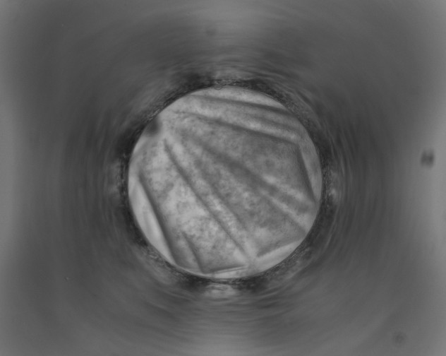 X0000090880519200708241943