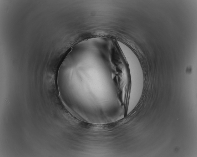 X0000090880521200708241943