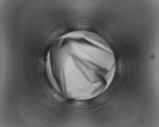 X0000090880522200708241943