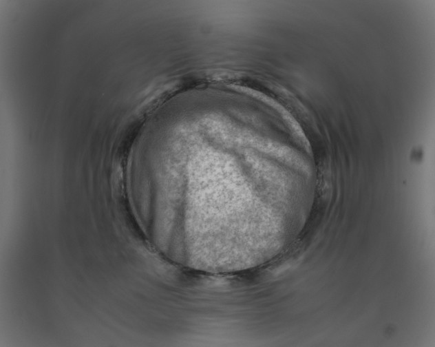 X0000090880523200708241943