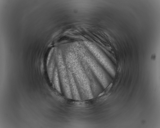 X0000090880524200708241943