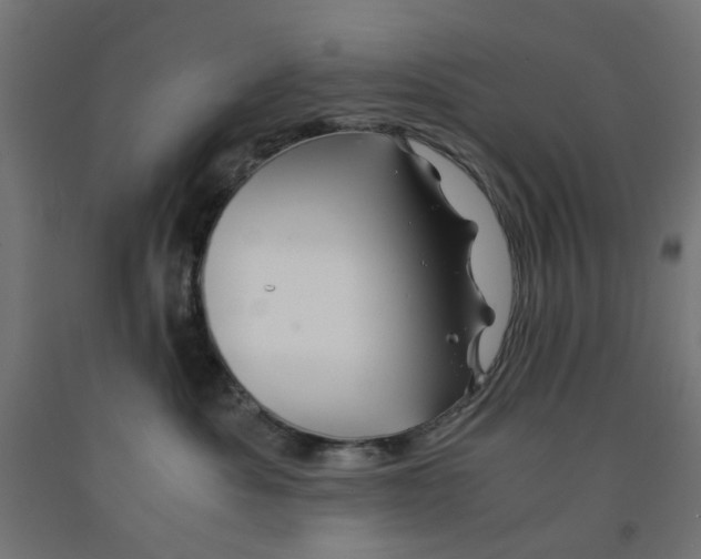 X0000090880525200708241943