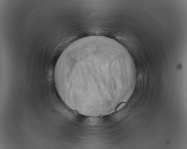 X0000090880526200708241943