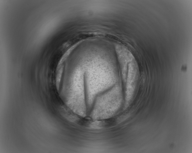 X0000090880527200708241943