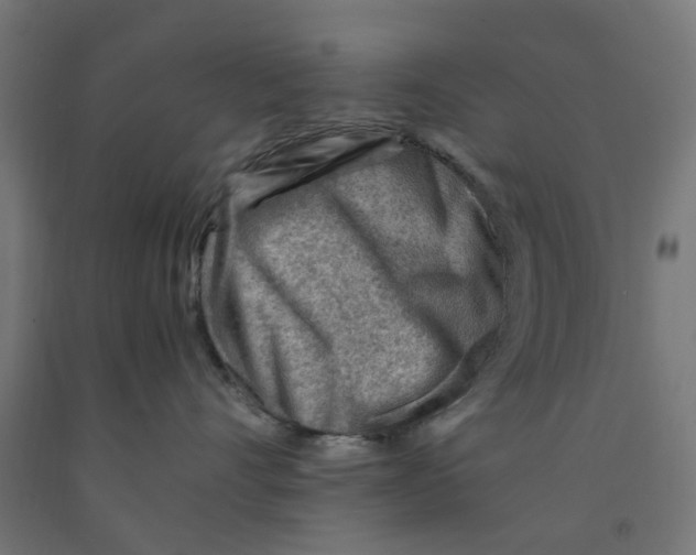 X0000090880528200708241943