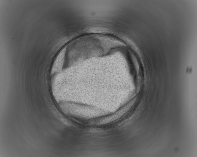 X0000090880529200708241942