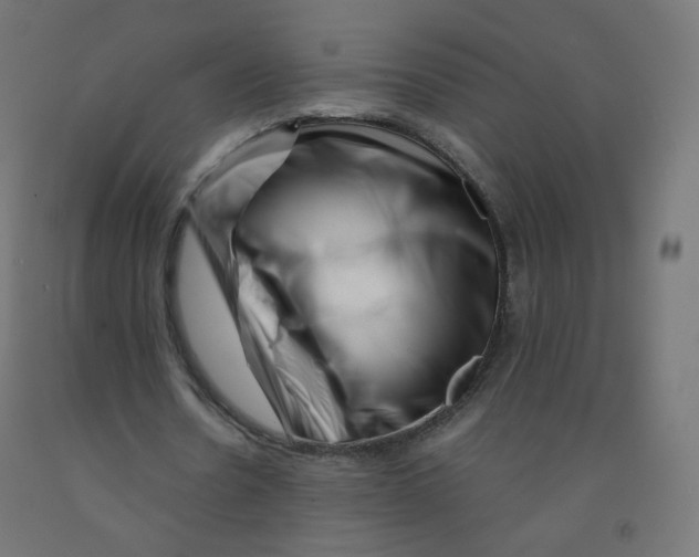 X0000090880530200708241942