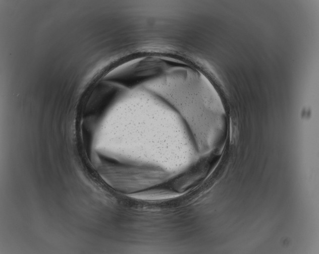 X0000090880531200708241942