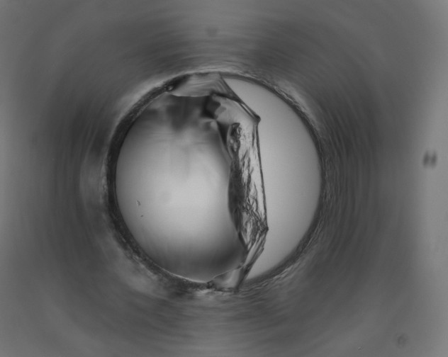 X0000090880532200708241942