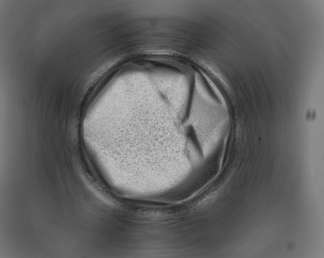 X0000090880533200708241942