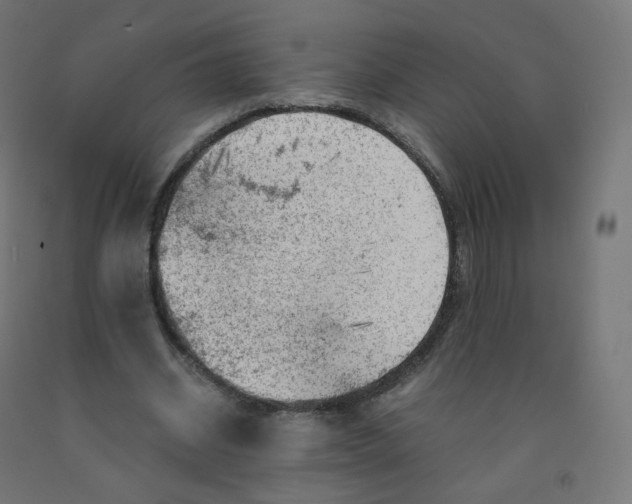 X0000090880534200708241942