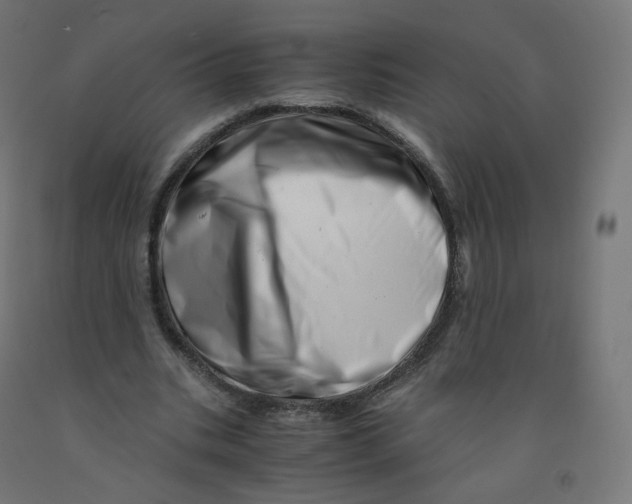 X0000090880535200708241942