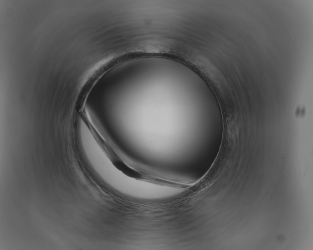 X0000090880536200708241942