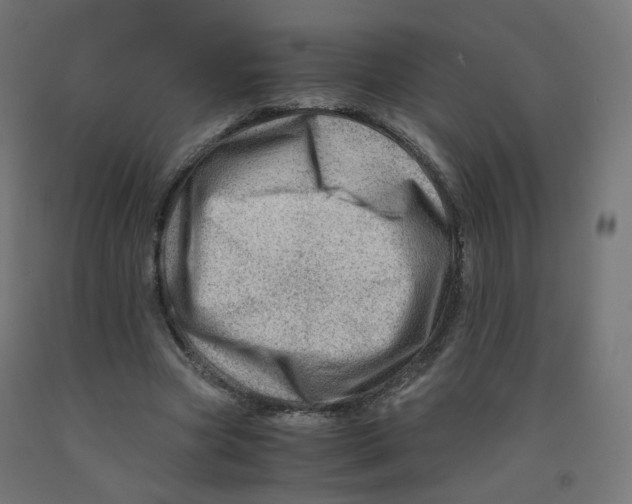 X0000090880537200708241942