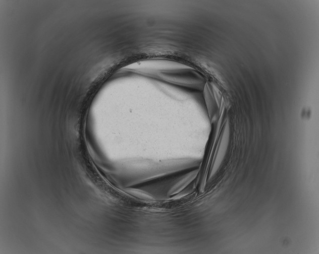 X0000090880539200708241942