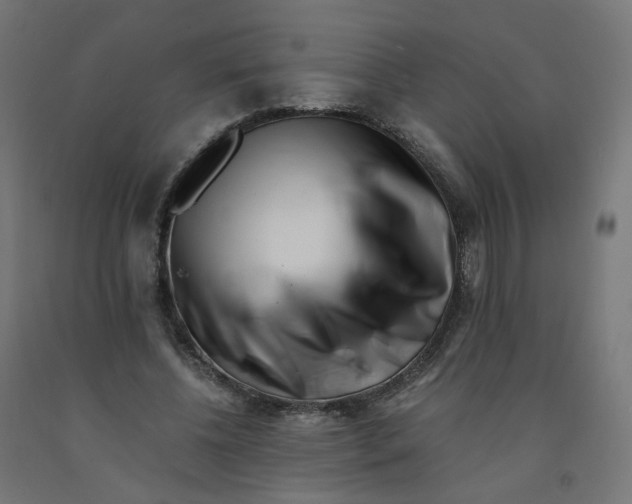 X0000090880540200708241942