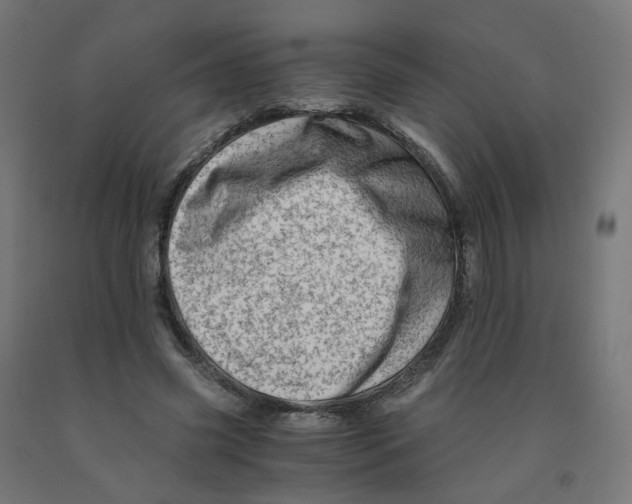 X0000090880541200708241942