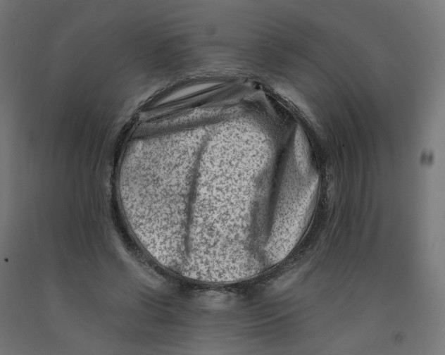 X0000090880542200708241942