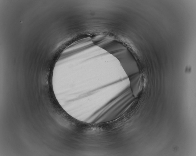 X0000090880543200708241942