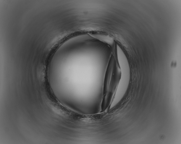 X0000090880544200708241942