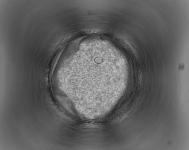 X0000090880545200708241942